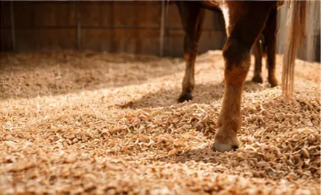 Find Ground Mulch Richmond IL